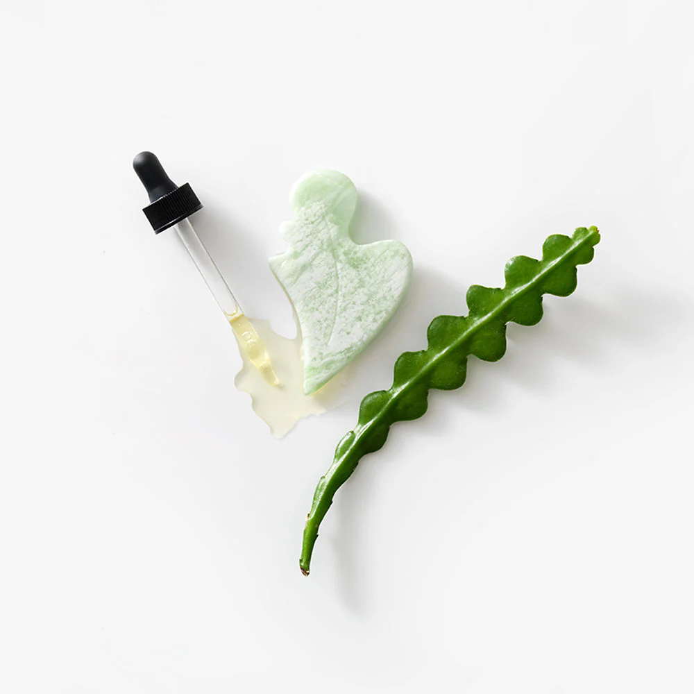 Gua Sha - Image 4