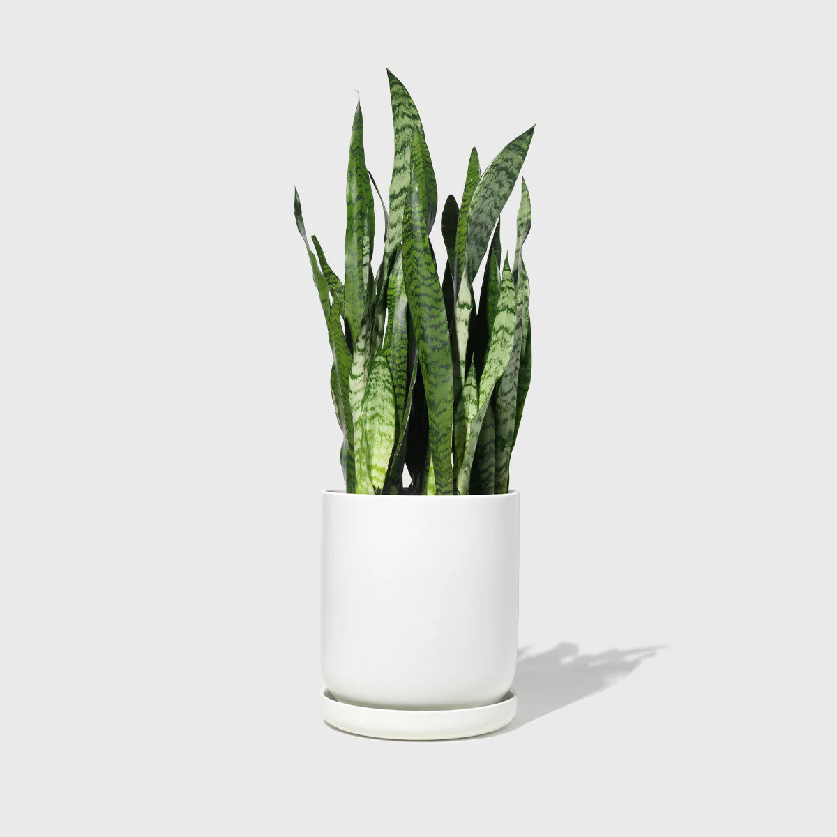 Large Stoneware Planter - Image 2